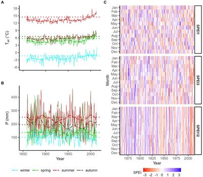 Tree growth at the limits: the response of multiple conifers to opposing climatic constraints along an elevational gradient in the Alps